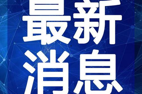 清河爆料最新新闻视频,最新新闻视频深度解析
