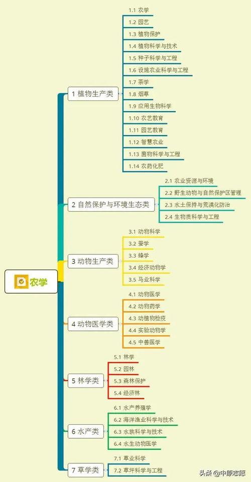 梳妆魔盒爆料视频大全集,视频大全集深度解析