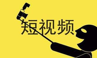 交房爆料视频文案简短精辟,一视频爆出惊人内幕